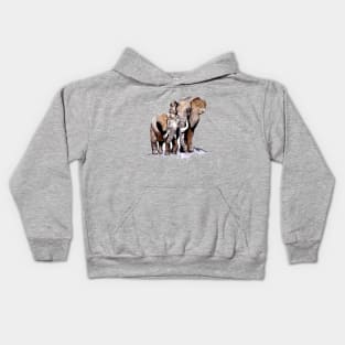 Elephants Kids Hoodie